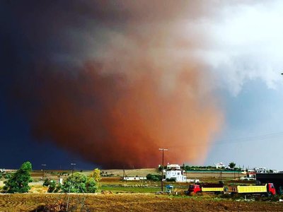 Article featured image