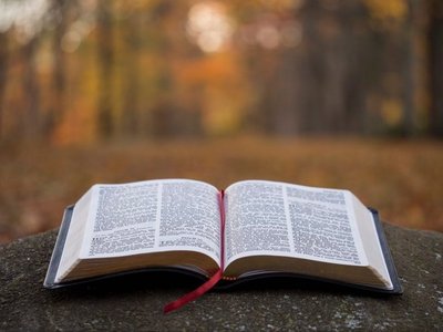 Article featured image