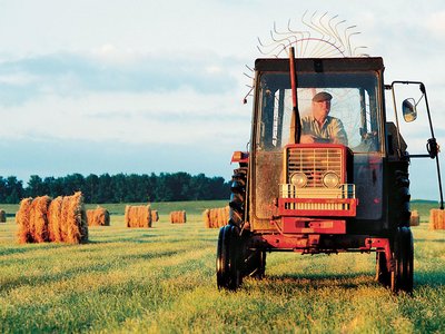 Article featured image