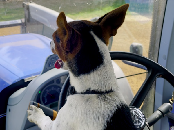 Article featured image