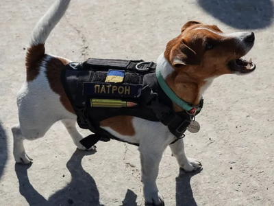 Article featured image