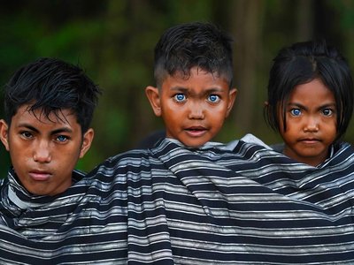 Article featured image