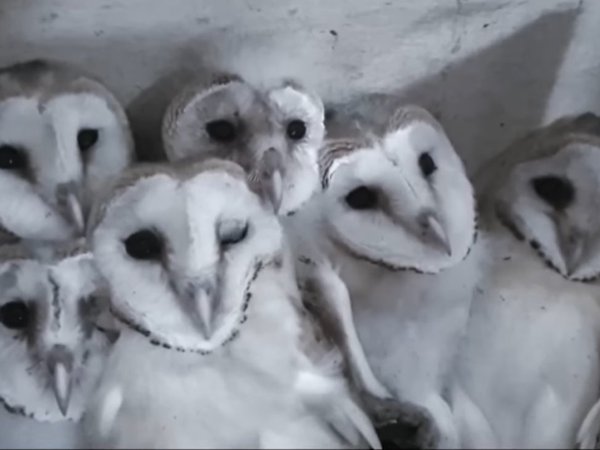 Article featured image