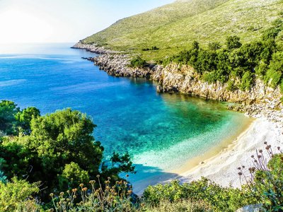 Article featured image