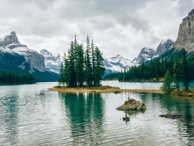 Article featured image