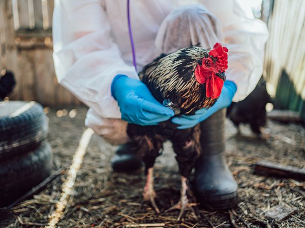 Article featured image