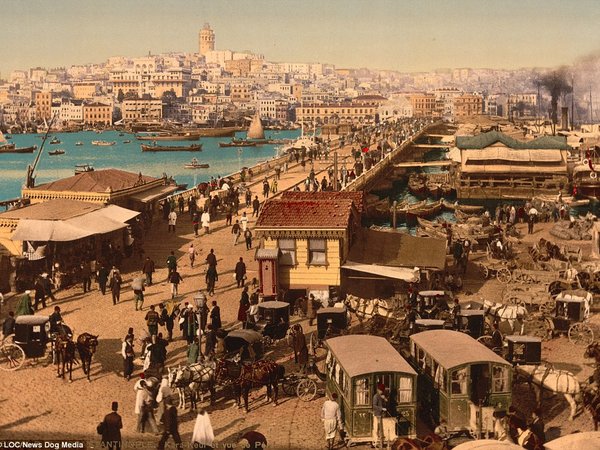 Article featured image