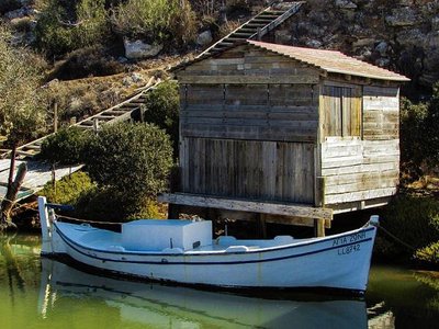 Article featured image