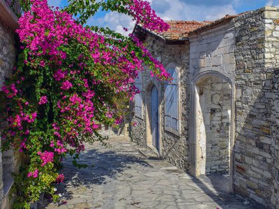 Article featured image