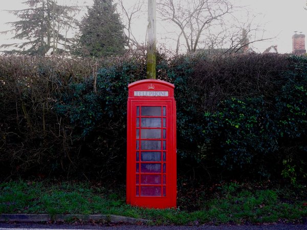 Article featured image