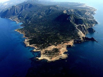 Article featured image