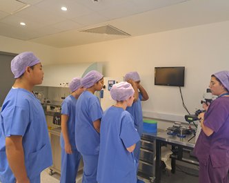 Article featured image
