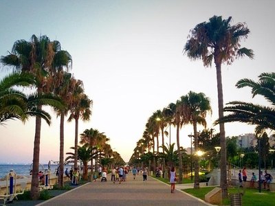 Article featured image