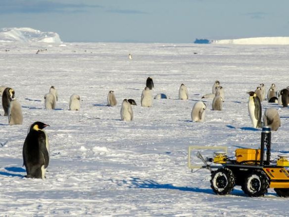 Article featured image