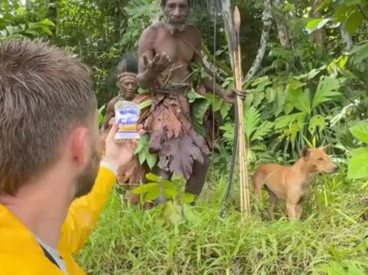 Article featured image