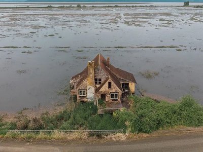 Article featured image