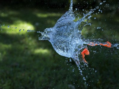 Article featured image