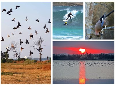 Article featured image