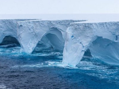 Article featured image