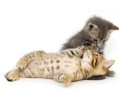 Article featured image