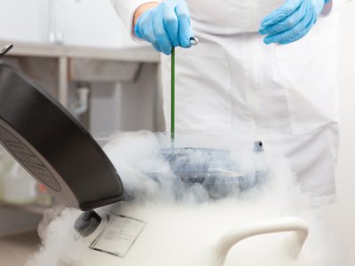 Article featured image