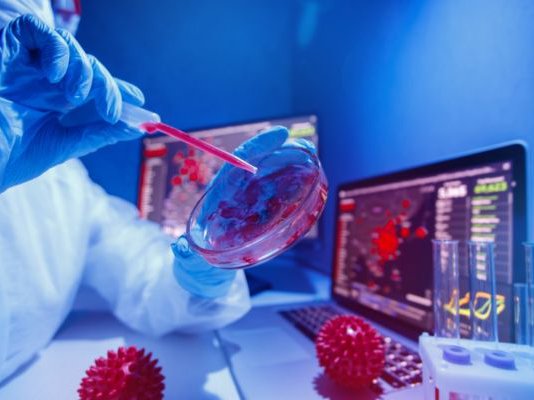 Article featured image