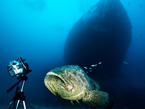 Article featured image