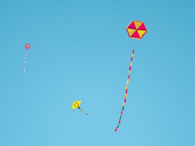 Article featured image