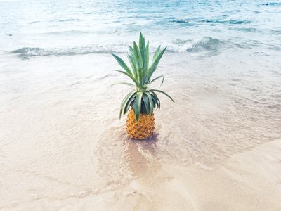 Article featured image