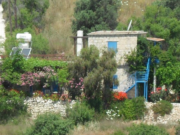 Article featured image