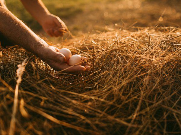 Article featured image