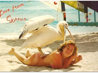 Article featured image