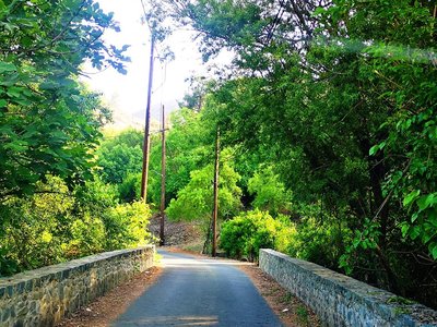 Article featured image