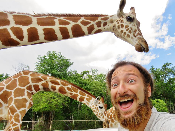 Article featured image