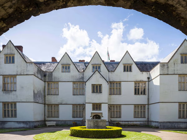 Article featured image