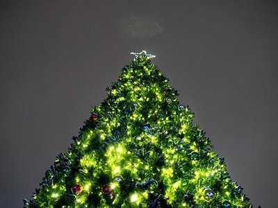 Article featured image