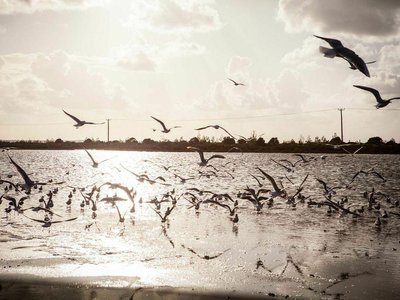 Article featured image