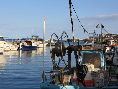 Article featured image