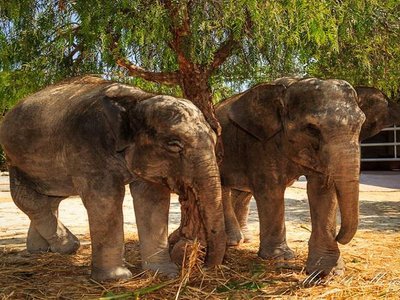 Article featured image