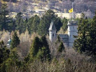 Article featured image
