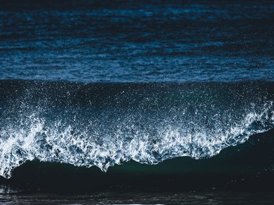 Article featured image