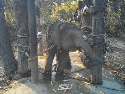 Article featured image