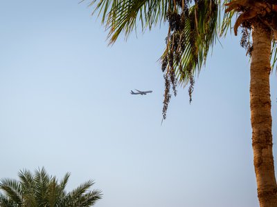 Article featured image