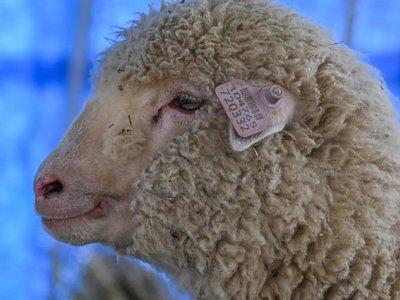 Article featured image