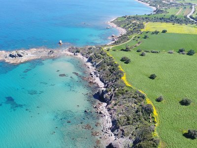 Article featured image