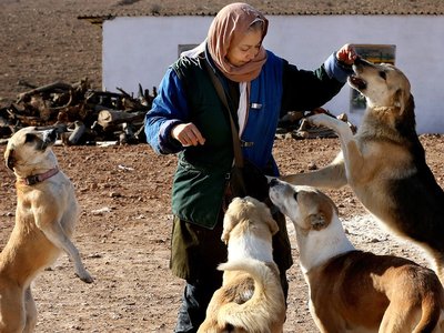 Article featured image