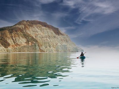 Article featured image