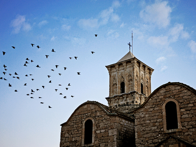 Article featured image