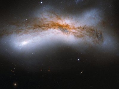 Article featured image