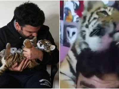 Article featured image